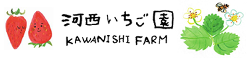 完熟朝穫りイチゴと梨の販売 河西いちご園
